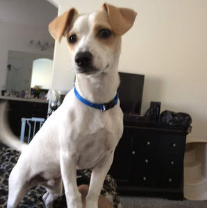 Meet your Posher, Nelson